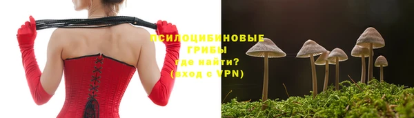 Альфа ПВП Арсеньев