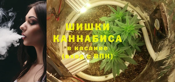 молекула духа Аркадак