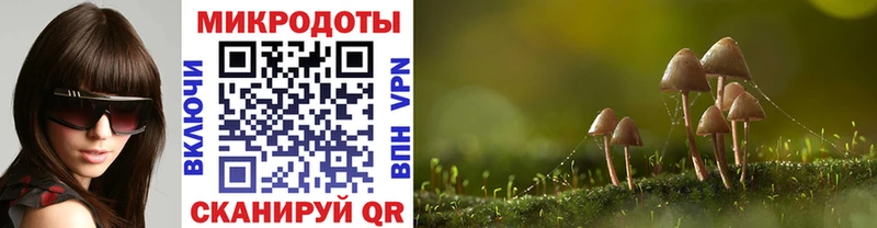 Купить закладки  Дигора  Псилоцибиновые грибы мицелий 